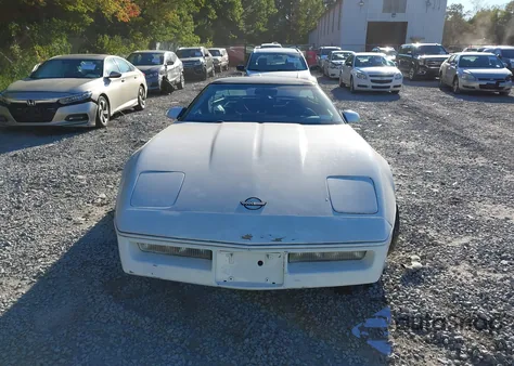 1988 Chevrolet Corvette из США, поврежденный, VIN 1G1YY2184J5122059
